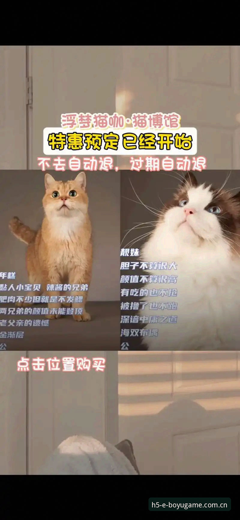 博鱼体育2025新版登录入口 vs 其他平台：最新博鱼体育有没有黑幕的深度解析