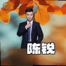 陈锐